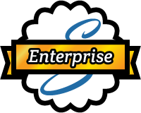 Enterprise Support Icon